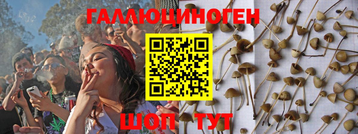 Томск  Псилоцибиновые грибы MAGIC MUSHROOMS  Вход с VPN 